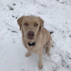 Meet your Posher, Nolan